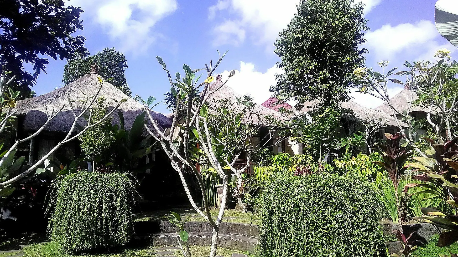 Astawa House Hotel Ubud