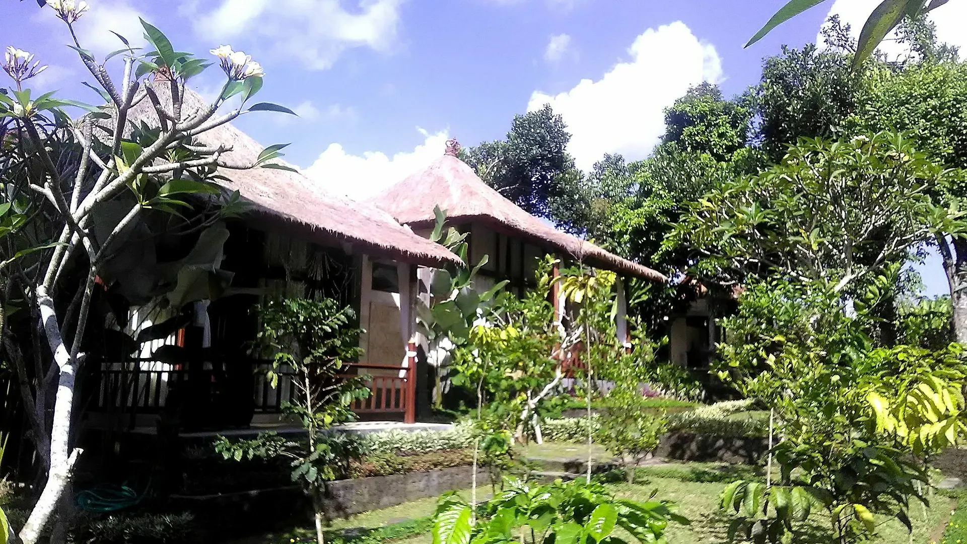 Guest house Astawa House Hotel Ubud